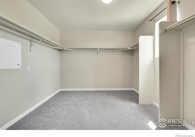 6008 Sandstone Cir, Frederick, CO 80516 - spacious closet with carpet