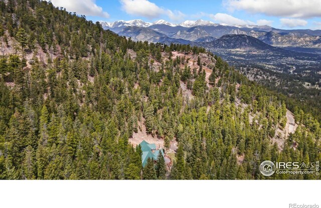 1490 Hummingbird Dr, Estes Park, CO 80517