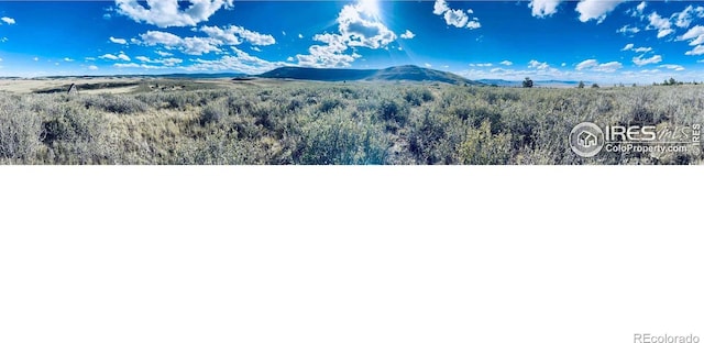 867 Windy Ridge Rd, Red Feather Lakes, CO 80545 - mountain view