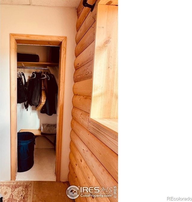 867 Windy Ridge Rd, Red Feather Lakes, CO 80545 - view of closet