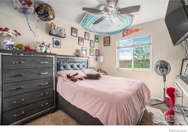 1577 Sierra Plaza St, Severance, CO 80550 - photo 18