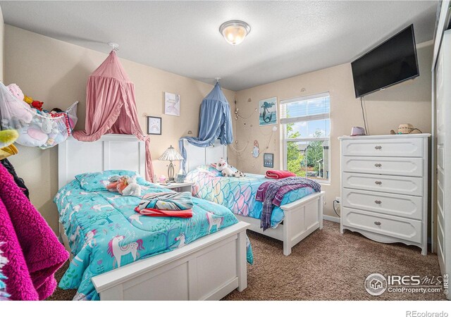 1577 Sierra Plaza St, Severance, CO 80550 - photo 20