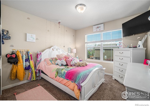 1577 Sierra Plaza St, Severance, CO 80550 - photo 22