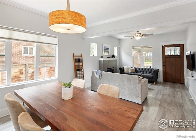 3039 W Denver Pl, Denver, CO 80211 - photo 9