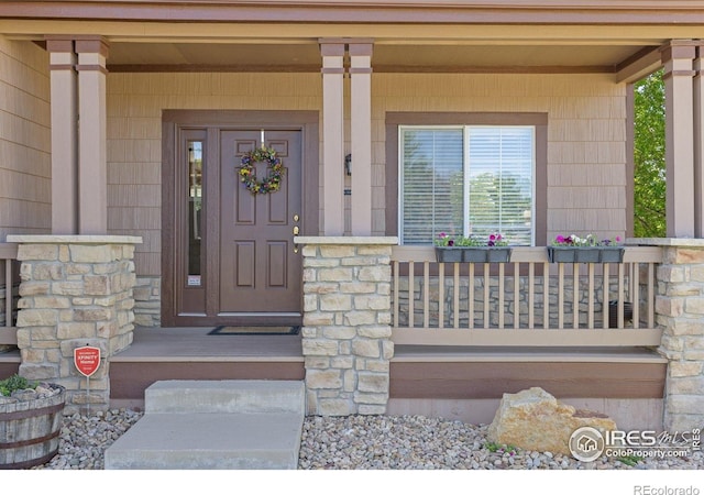 548 Mathews Cir, Erie, CO 80516 - photo 5
