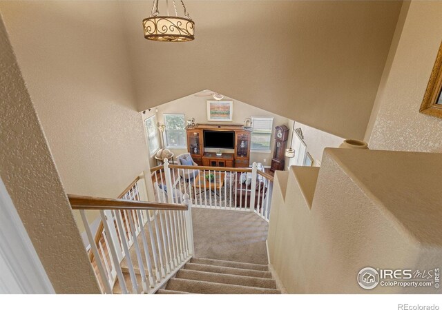 548 Mathews Cir, Erie, CO 80516 - photo 17