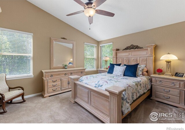 548 Mathews Cir, Erie, CO 80516 - photo 19