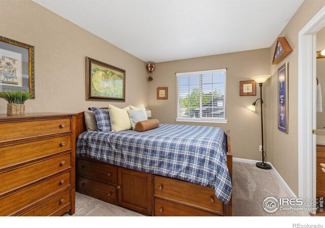 548 Mathews Cir, Erie, CO 80516 - photo 23