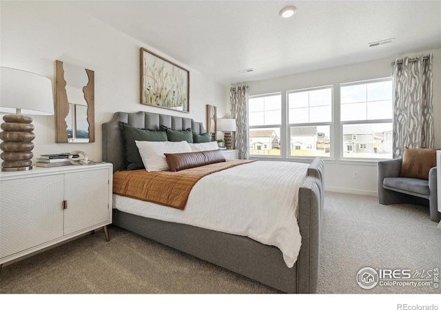 18722 E 99th Ave, Commerce City, CO 80022 - carpeted bedroom with baseboards