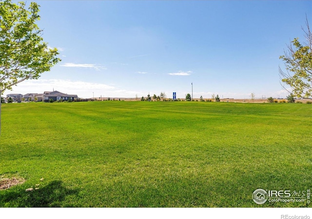 18722 E 99th Ave, Commerce City, CO 80022 - view of grassy yard