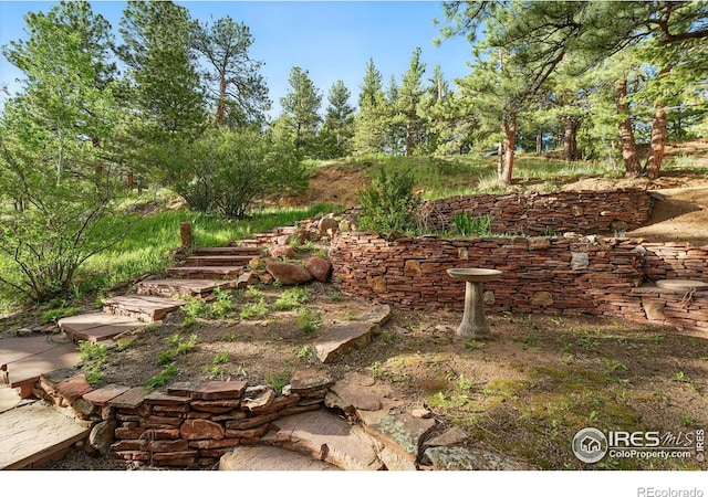 1101 Peakview Cir, Boulder, CO 80302 - view of yard