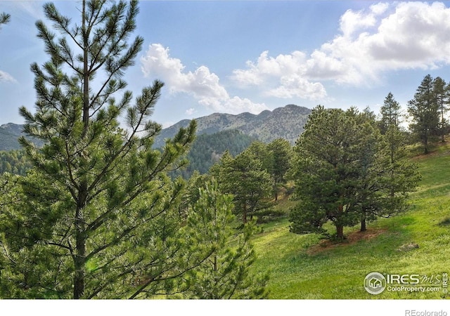 1101 Peakview Cir, Boulder, CO 80302 - view of mountain background