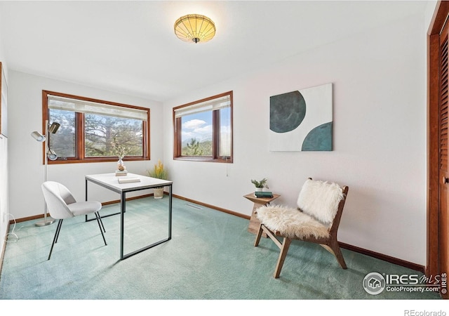 1101 Peakview Cir, Boulder, CO 80302 - office featuring carpet floors and baseboards