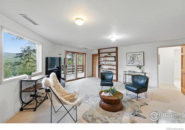 1101 Peakview Cir, Boulder, CO 80302 - living area with light colored carpet and baseboards