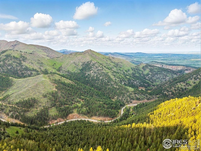 1101 Peakview Cir, Boulder, CO 80302 - view of mountain background featuring a forest