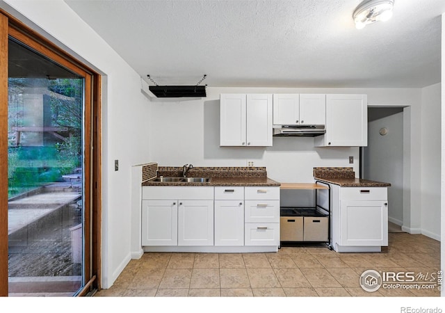 1101 Peakview Cir, Boulder, CO 80302 - kitchen featuring under cabinet range hood, a sink, white cabinetry, baseboards, and light tile patterned floors