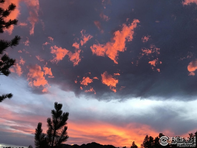 1101 Peakview Cir, Boulder, CO 80302 - view of nature at dusk