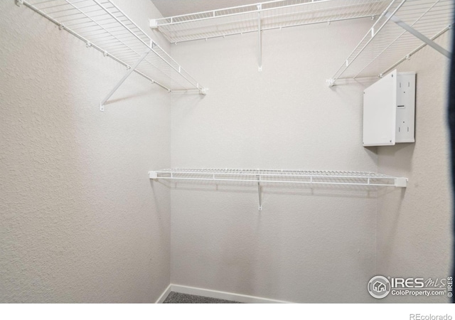 2960 Kincaid Dr Unit 303, Loveland, CO 80538 - photo 22