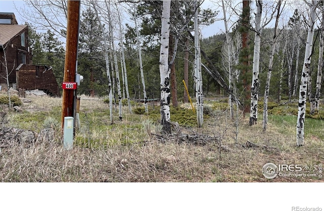 480 Comanche Cir, Red Feather Lakes, CO 80545