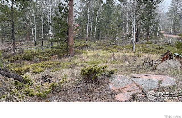 480 Comanche Cir, Red Feather Lakes, CO 80545