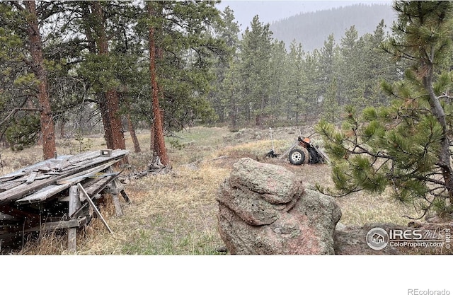 480 Comanche Cir, Red Feather Lakes, CO 80545