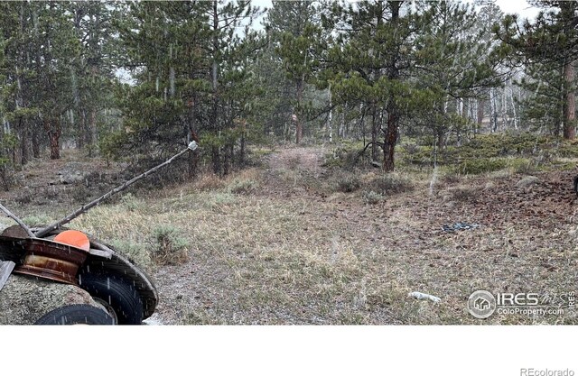 480 Comanche Cir, Red Feather Lakes, CO 80545