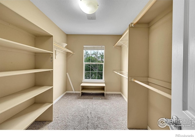 4764 Maggie Ct, Loveland, CO 80537 - spacious closet with carpet floors