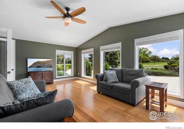1119 Wrangler Way, Loveland, CO 80537 - living area featuring light wood-style flooring, vaulted ceiling, healthy amount of natural light, and ceiling fan