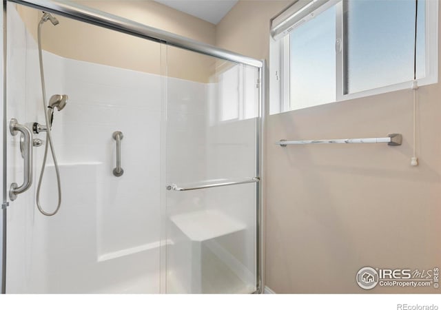 1119 Wrangler Way, Loveland, CO 80537 - bathroom featuring a shower stall