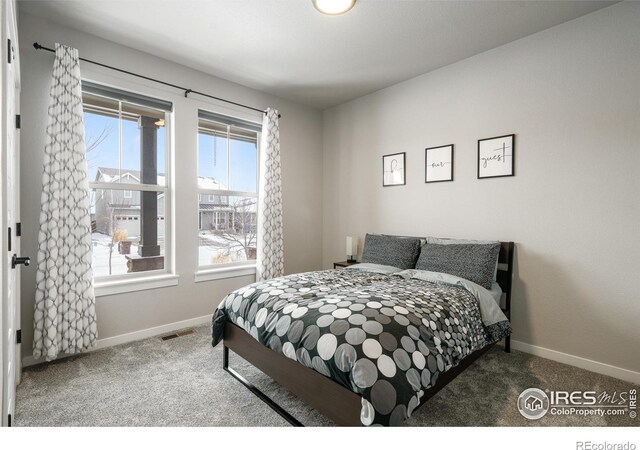 2102 Bouquet Dr, Windsor, CO 80550 - photo 19