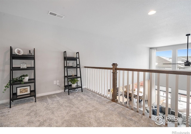 2102 Bouquet Dr, Windsor, CO 80550 - photo 28