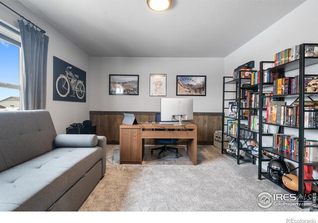 2102 Bouquet Dr, Windsor, CO 80550 - photo 31
