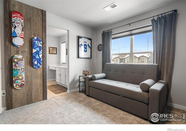 2102 Bouquet Dr, Windsor, CO 80550 - photo 32