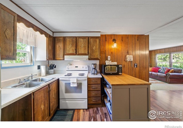 185 Meadow Ln, Bellvue, CO 80512 - kitchen with electric range, under cabinet range hood, a sink, dark wood finished floors, and brown cabinets