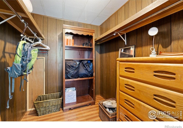 185 Meadow Ln, Bellvue, CO 80512 - walk in closet with light wood-style floors
