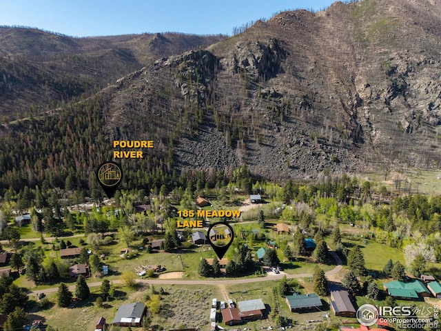 185 Meadow Ln, Bellvue, CO 80512 - mountain view