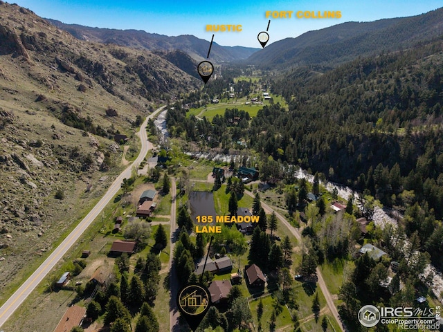 185 Meadow Ln, Bellvue, CO 80512 - view of property location featuring mountains and a heavily wooded area