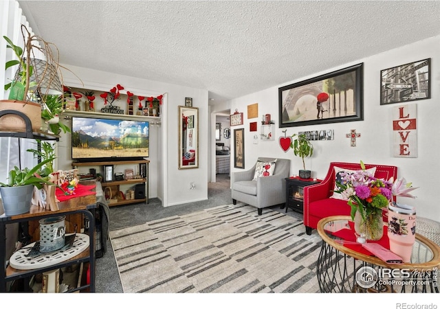 carpeted living room featuring a textured ceiling