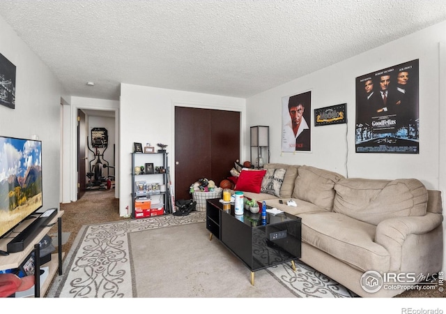 living area featuring carpet and a textured ceiling