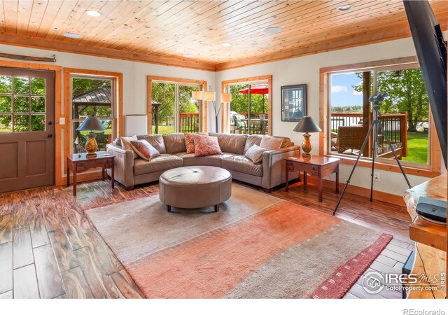 466 S County Road 9e, Loveland, CO 80537 - photo 39
