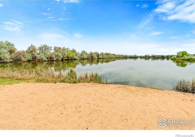 466 S County Road 9e, Loveland, CO 80537 - photo 6
