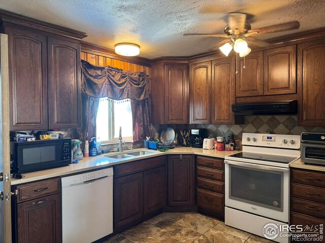 6600 Debra Dr, Fort Collins, CO 80525 - photo 6