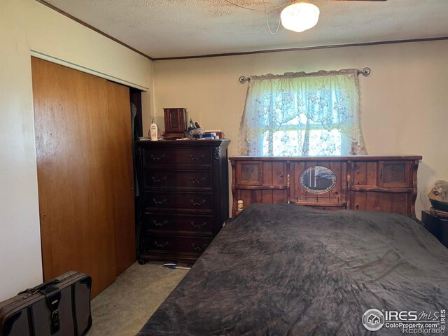 6600 Debra Dr, Fort Collins, CO 80525 - photo 16