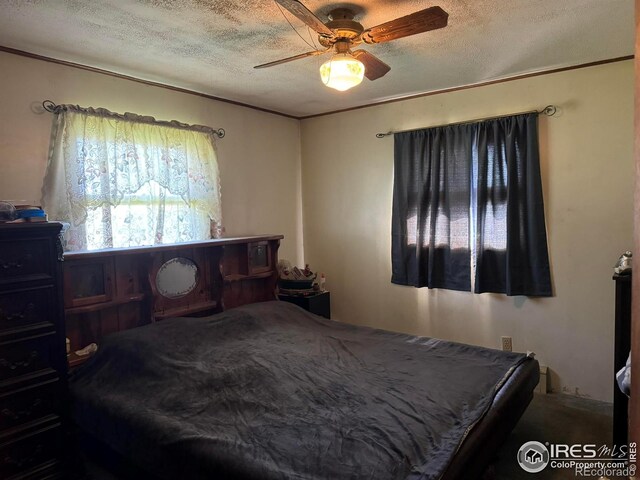 6600 Debra Dr, Fort Collins, CO 80525 - photo 17