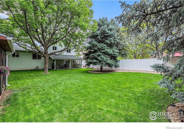 2325 42nd Avenue Ct, Greeley, CO 80634 - view of yard
