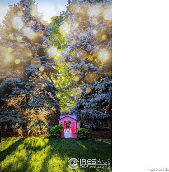 2325 42nd Avenue Ct, Greeley, CO 80634 - view of yard