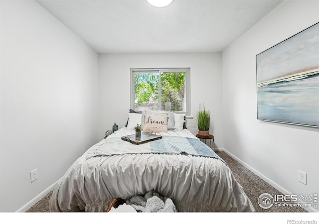 1832 24th Avenue Pl, Greeley, CO 80634 - carpeted bedroom featuring baseboards