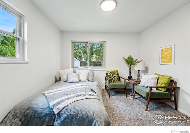 1832 24th Avenue Pl, Greeley, CO 80634 - bedroom with carpet and baseboards