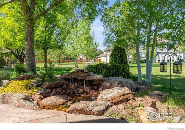 4127 Stoneham Cir, Loveland, CO 80538 - photo 37