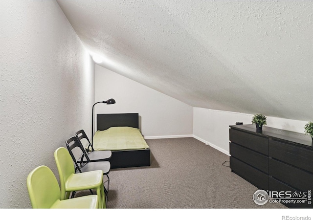 4475 Laguna Pl Unit 201, Boulder, CO 80303 - carpeted bedroom featuring lofted ceiling, a textured ceiling, baseboards, and a textured wall